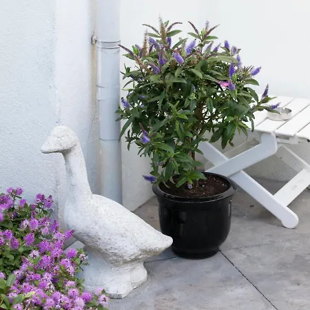 Charming Holiday In Katwijk South Holland With Terrace Ferienhaus *